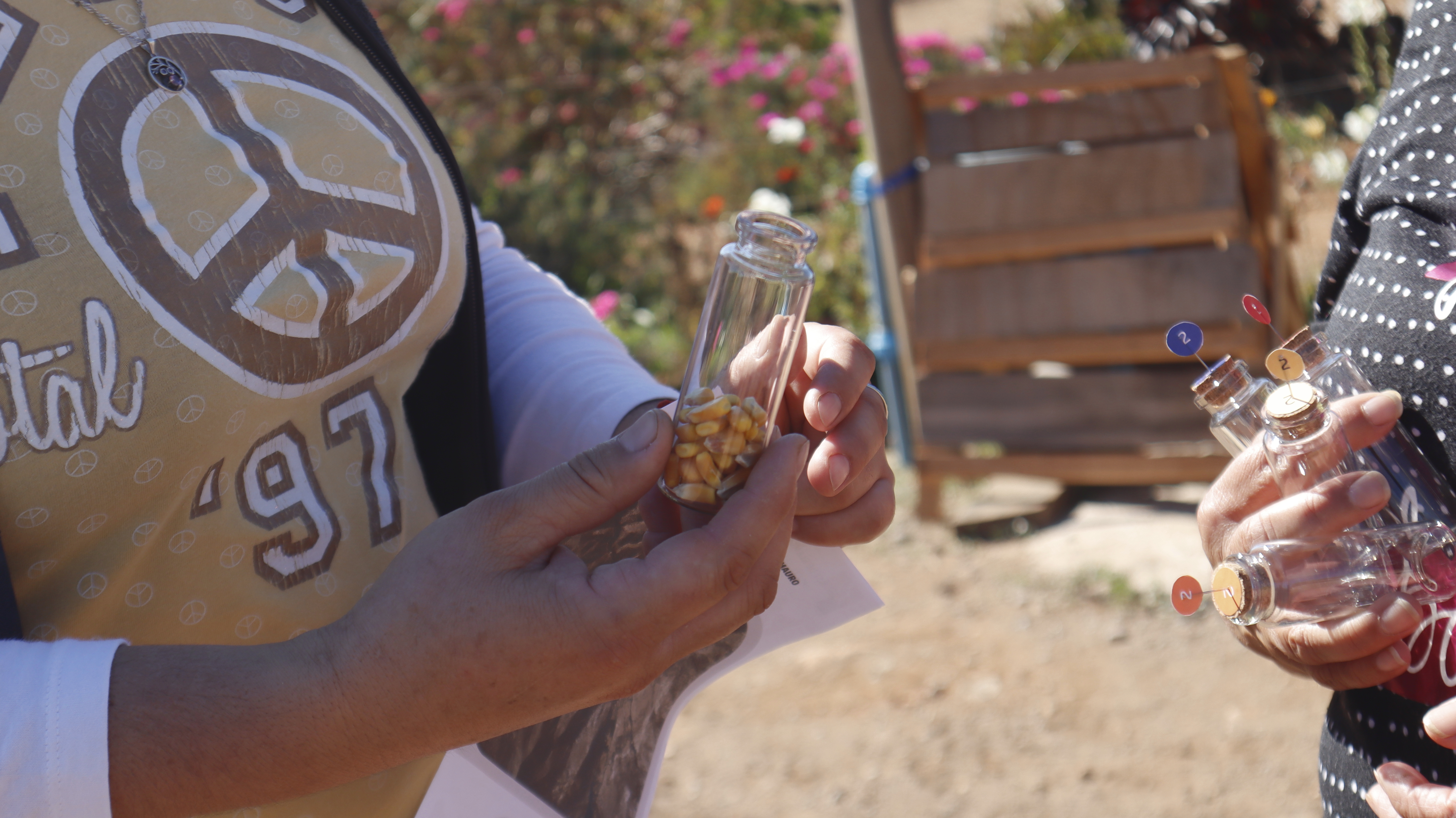 Detalle 3 Maqueta Mauro